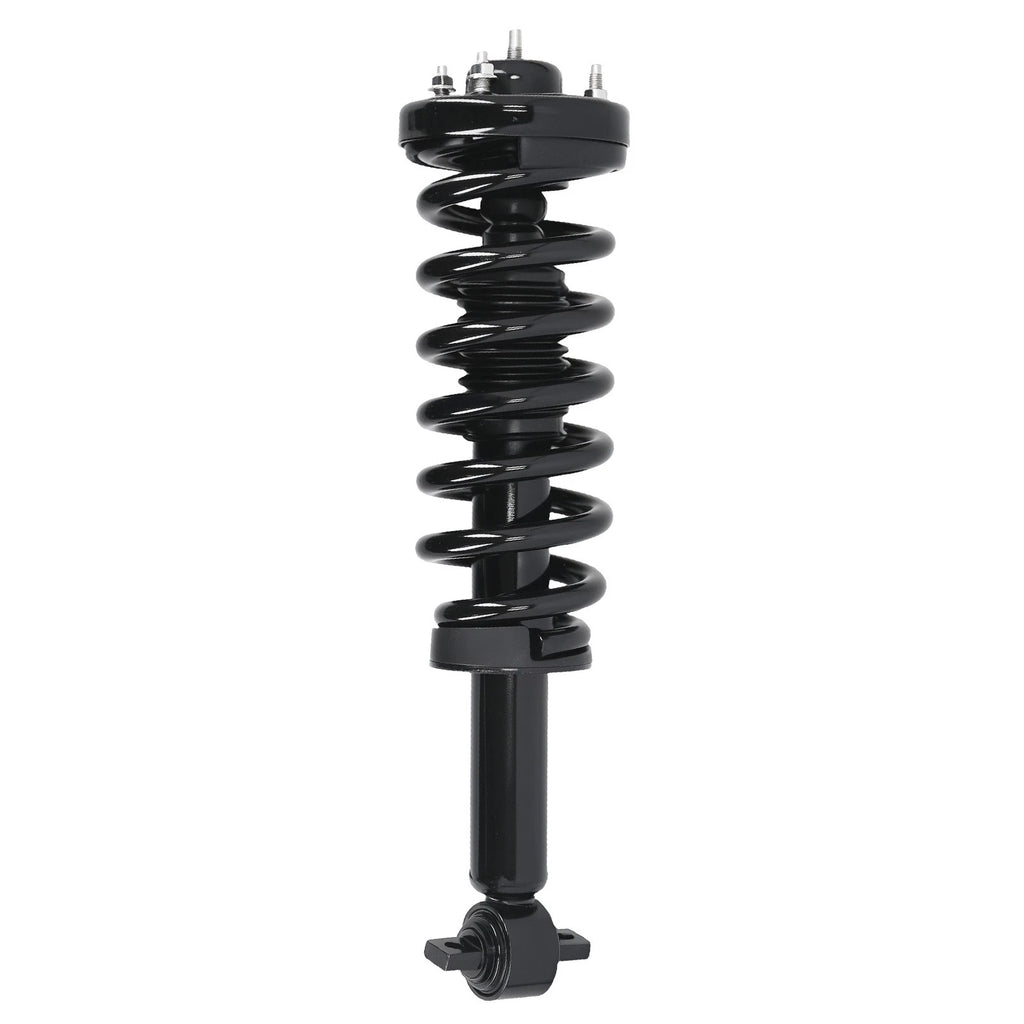 Front Strut Spring Assembly for Ford F-150 (2014) 4WD 172652L