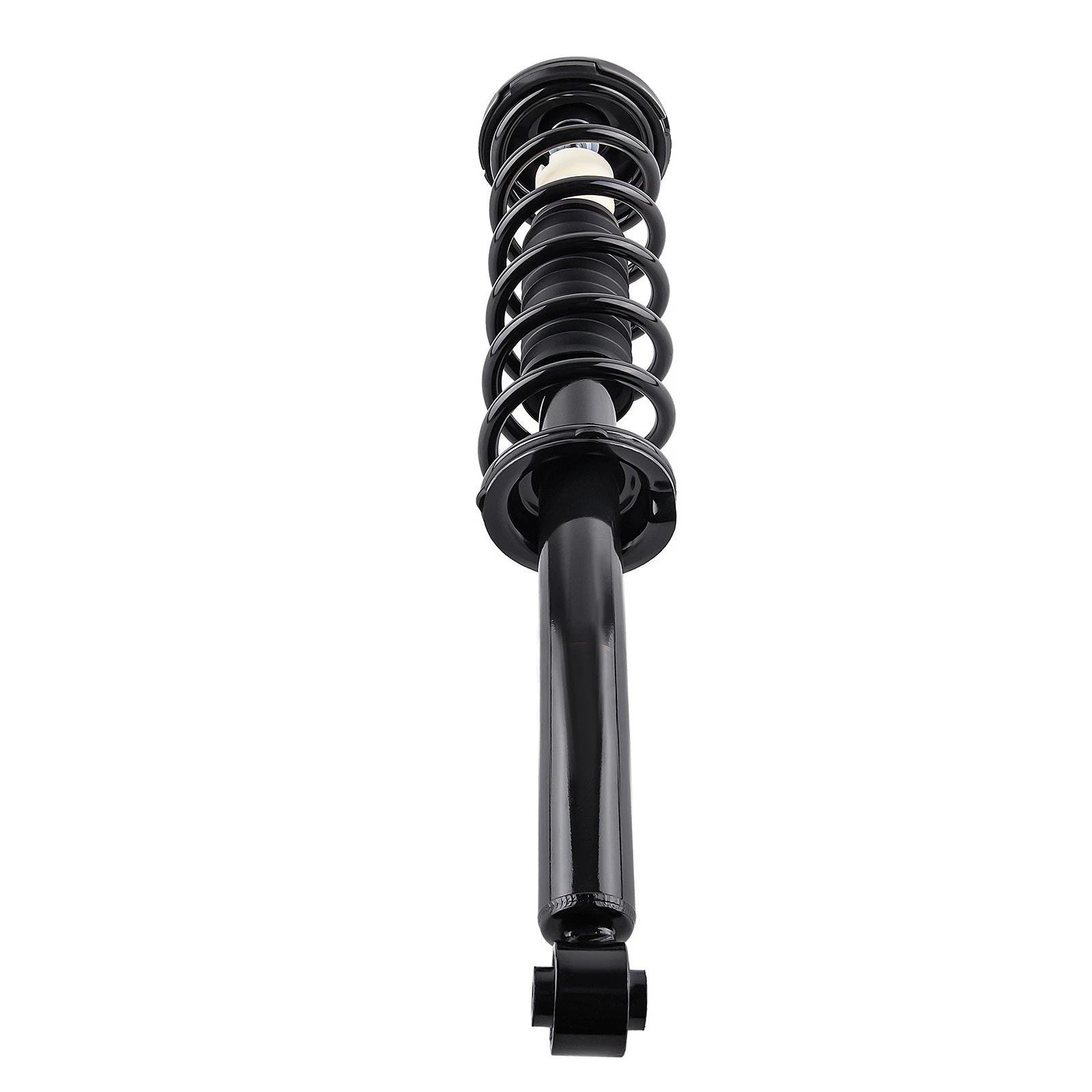 2X Rear Shock Struts Assembly for Acura TSX (2004–2008) 172324 1345794