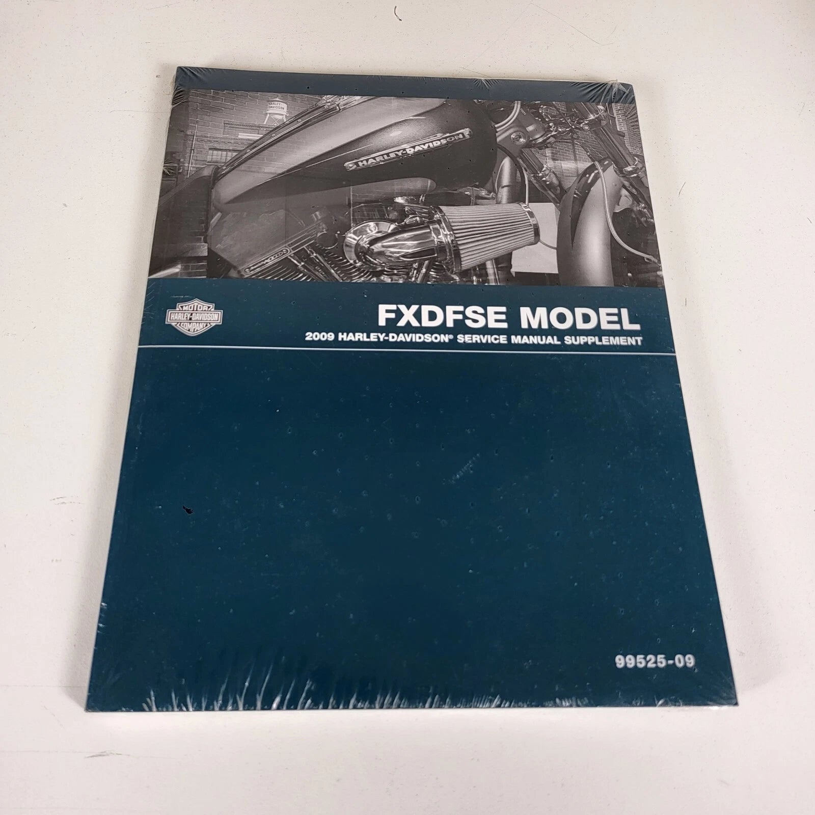 Factory Service Manual Supplement for Harley-Davidson (2009) - 99525-09