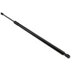Set of 2 Liftgate Lift Supports for Hatchback (Driver & Passenger Side)