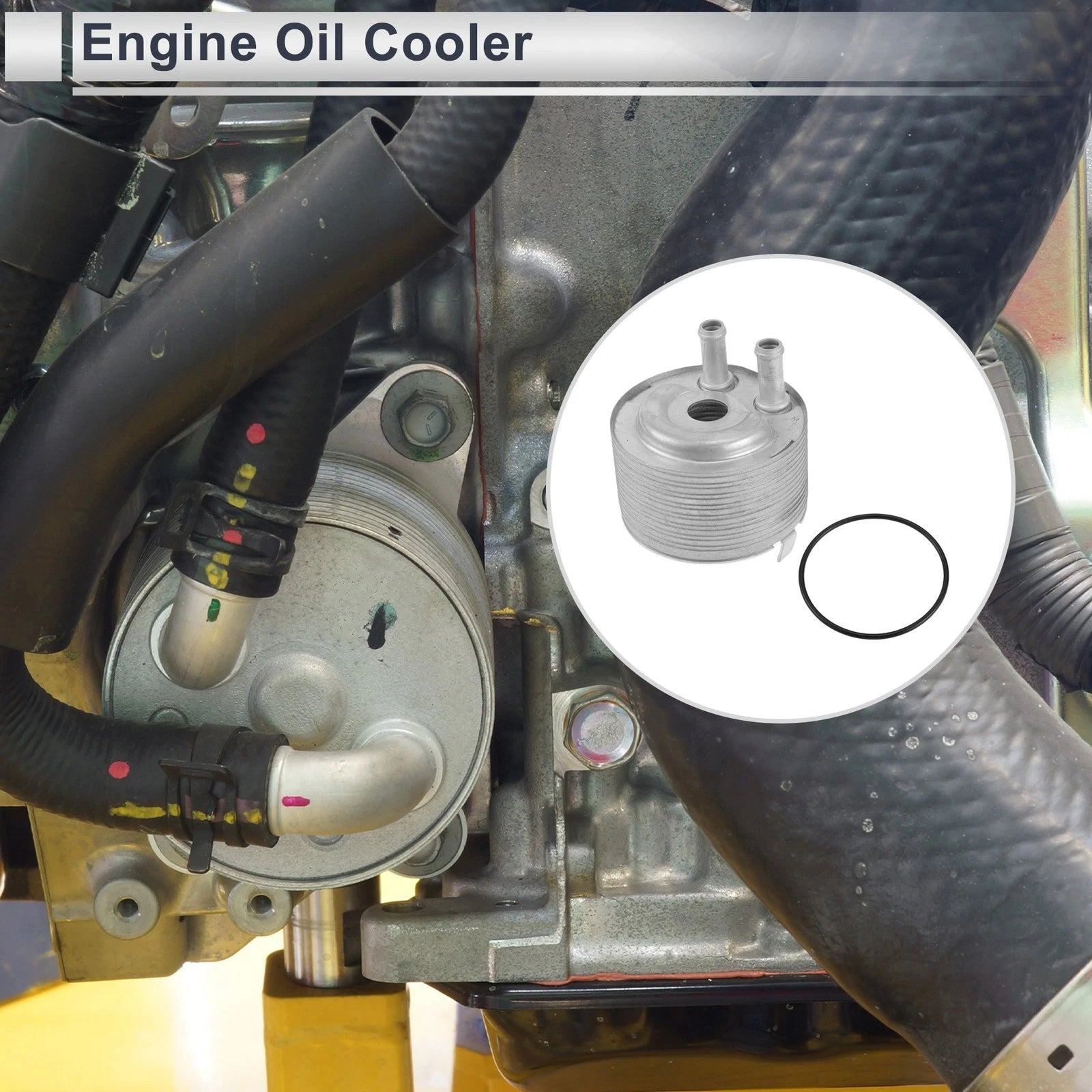 Engine Oil Cooler for Nissan (No. 21305EB300) (Set with O-ring Seals)