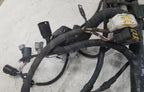 Engine Bay Management Harness LNE3350GB for Jaguar XJR (1999)