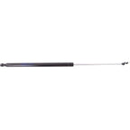 Lift Support for Lexus IS250 (2006–2014) Trunk Lid