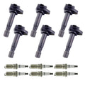 Set of 6 Ignition Coils & Spark Plugs for Acura RL TL TSX Honda Accord Odyssey