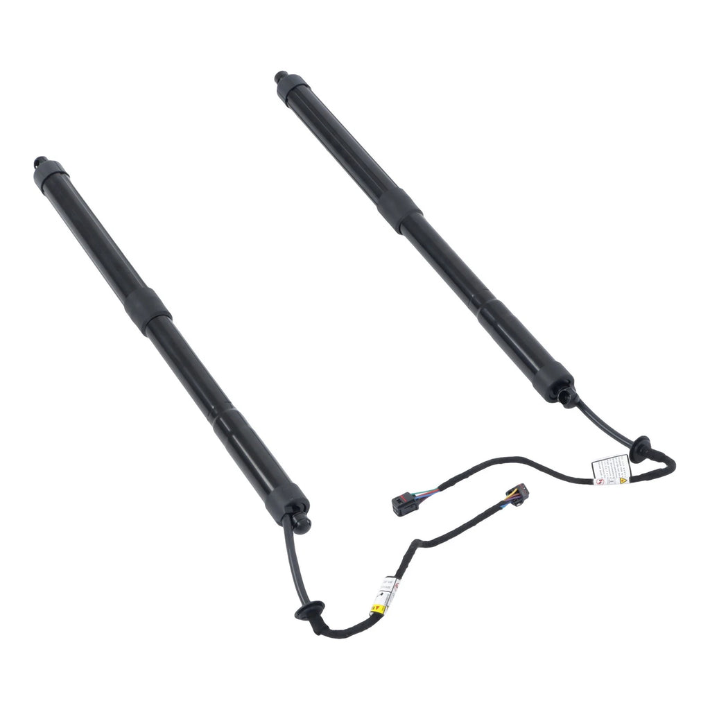 2X Tailgate Support Bar for Hyundai Santa Fe Sport (2015-2018)