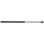Hood Lift Supports for Dakota (Set of 2)
