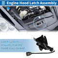 Hood Latch Assembly for Hyundai Santa Fe (2013-2019) 1 x Quality Replacement