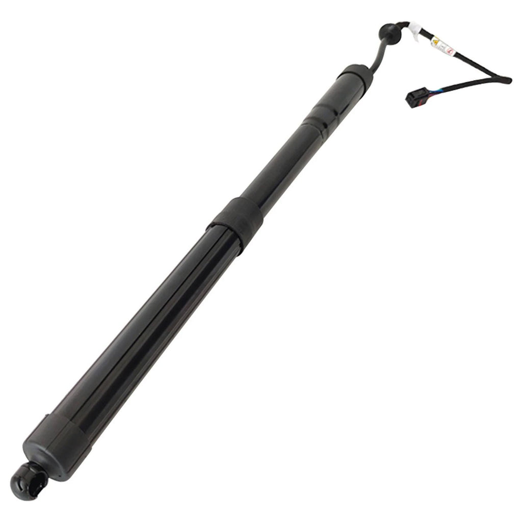 Set of 2 Rear Tailgate Lift Supports for Hyundai Santa Fe Sport (2015–2018)