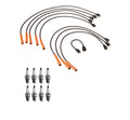 Denso Wire Set & Double Platinum Spark Plug Kit for Dodge Plymouth V8 (0.04)