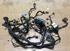 Wiring Harness for Jaguar S-Type (2005)