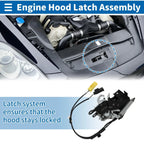 Hood Latch Assembly for BMW 5 Touring G31 (2017-2023)
