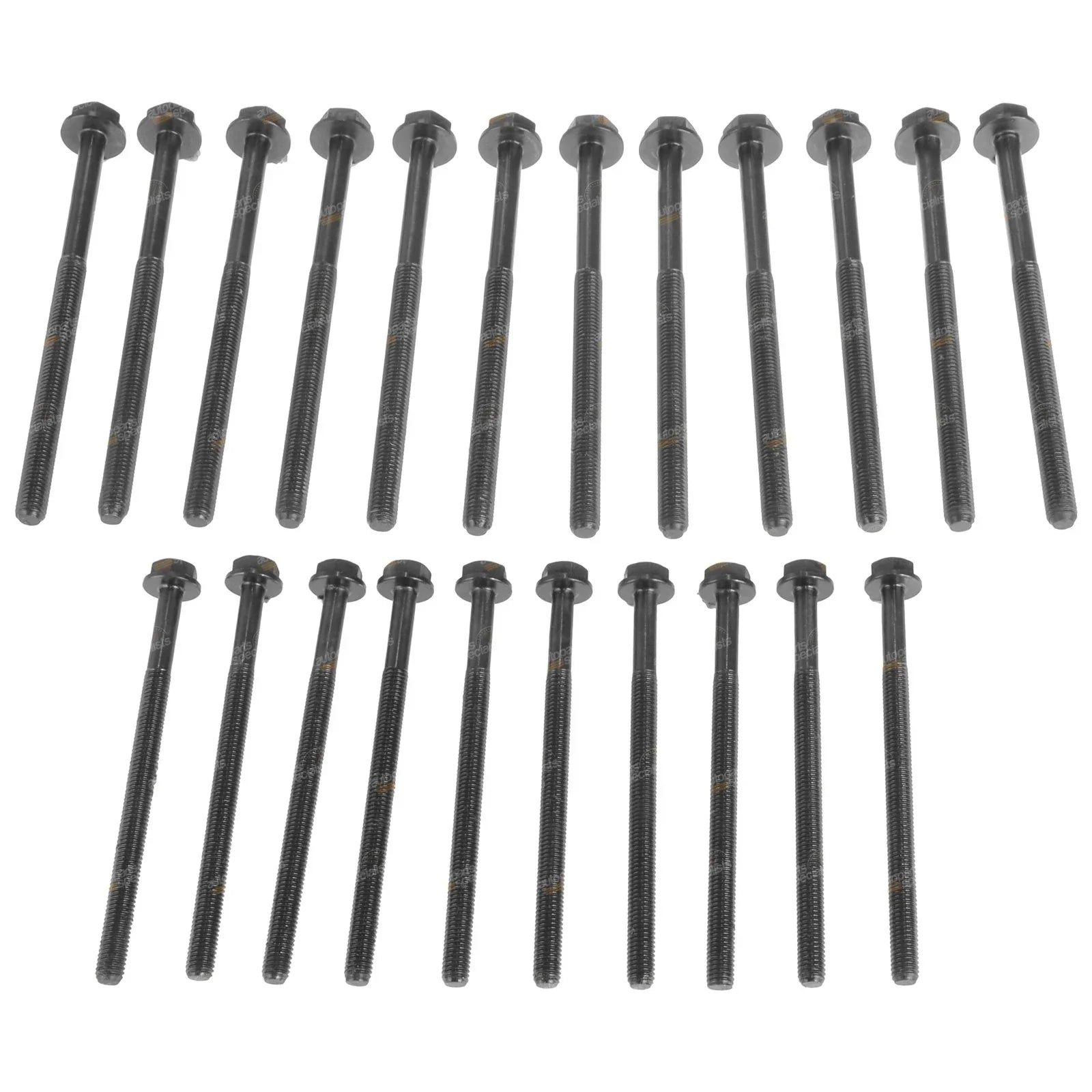 Engine Cylinder Head Bolts 3.2L for Ford Everest (2015-2019)