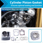 67mm Cylinder Piston Gasket for Zongshen Honda CG250 (250cc)