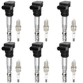 Set of 6 Ignition Coils & Spark Plugs for Audi Allroad Quattro (2003–2005)