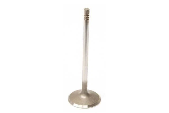 Intake Valve for TRW (261130)
