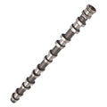Exhaust Camshaft for BMW 128 323 325 328 330 525 528 530 X3 X5 Z4 (2008–2013) 11317563665