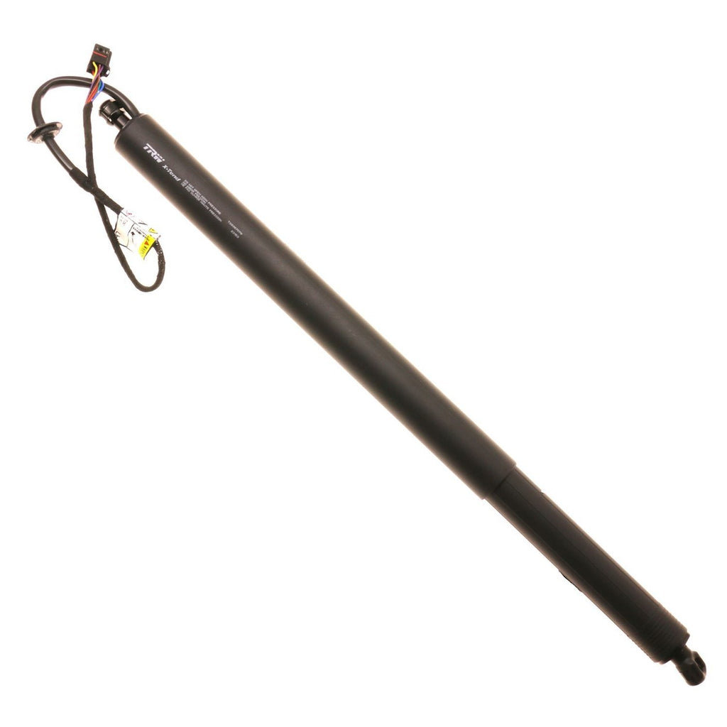 Tailgate Lift Support for Driver Left Side (RHD)