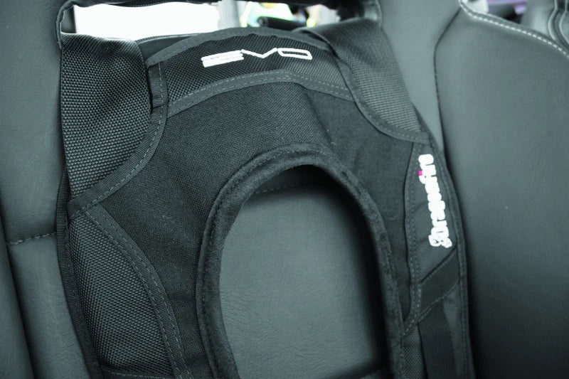 DragonFire Racing Harness Evo for Universal Fit (2010–2023)