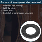 Front Crankshaft Oil Seal for Ford Focus (1998–2012) No. 3N2G6700A4A