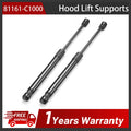 2 Front Hood Lift Supports for 2015-2017 Hyundai Sonata (2.0L 2.4L)