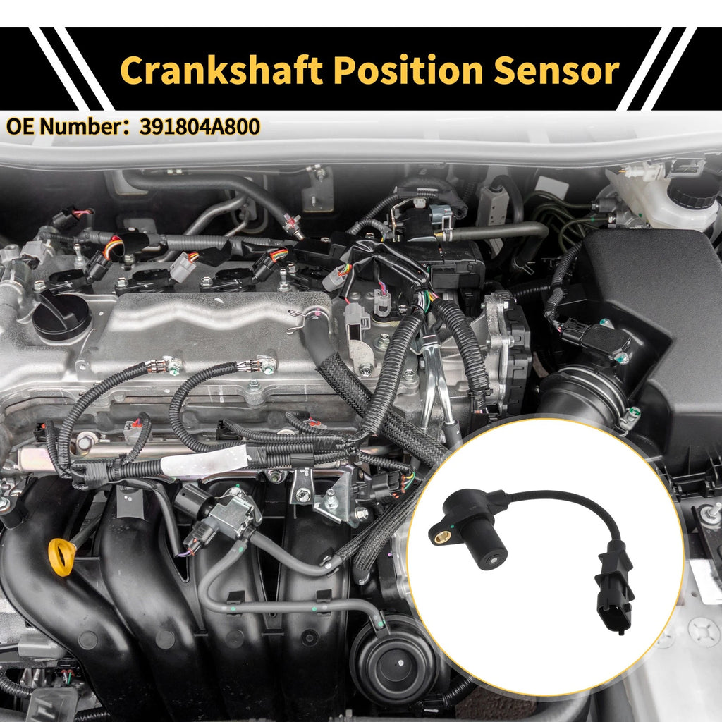 Crankshaft Position Sensor for KIA K2500 2010 (No. 391804A800) 1 Pc Black