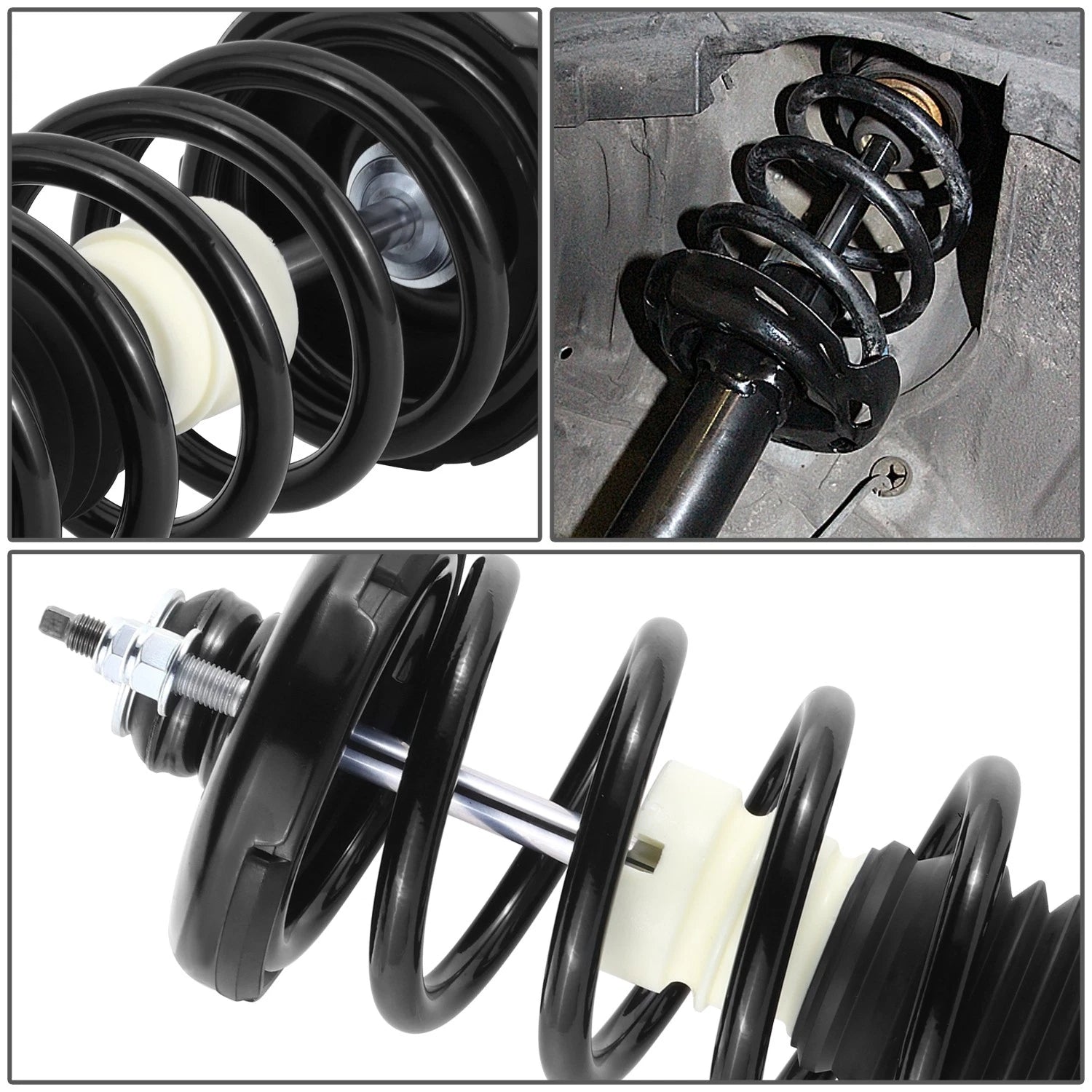 Rear Black Struts with Coil Spring Assembly for Acura TSX Honda Accord (2008–2017)