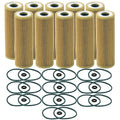 Set of 10 Engine Oil Filters for Ford Lincoln V6 Turbo