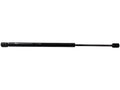Tailgate Strut for Mazda Tribute (2001–2005) ZN353PM