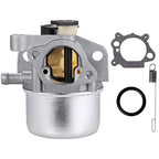 Carburetor Kit for BS Lawn Mower (799866)
