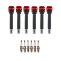 Set of 6 Ignition Coils & Spark Plugs for Audi Q5 S5 V6 (2018–2021)