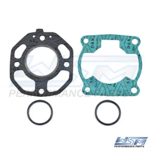 Gasket Kit for WSM