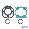 Gasket Kit for WSM