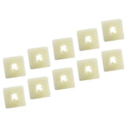 Rivets for Car Bumper License Plate