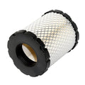 Air Filter for Briggs and Stratton (Replaces 4250)