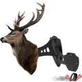 Dual Shoulder Mount Trophy Skull Hooker Bracket with 8-inch Swing Arm