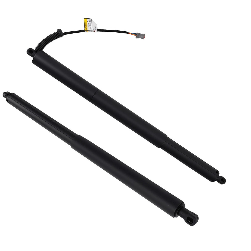 2PC Rear Tailgate Lift Supports for Ford Edge (2015-2018)