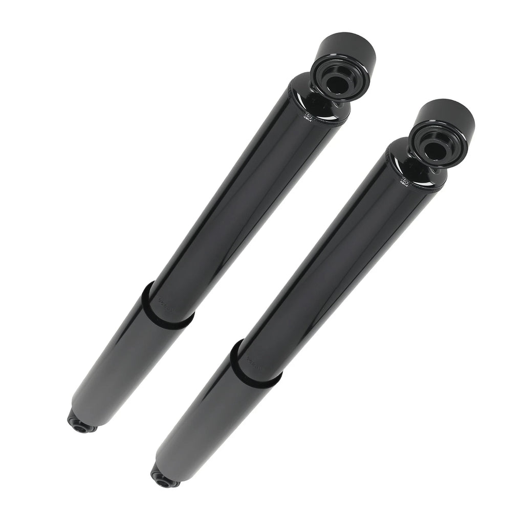Rear Struts Absorber Assembly for Dodge Ram 1500 4WD (2002–2008) 37207
