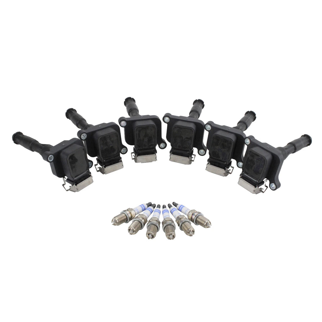 Set of 6 Ignition Coils & Platinum Spark Plugs for BMW E36 E39 E46 (1998–2006)