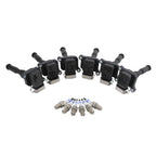Set of 6 Ignition Coils & Platinum Spark Plugs for BMW E36 E39 E46 (1998–2006)