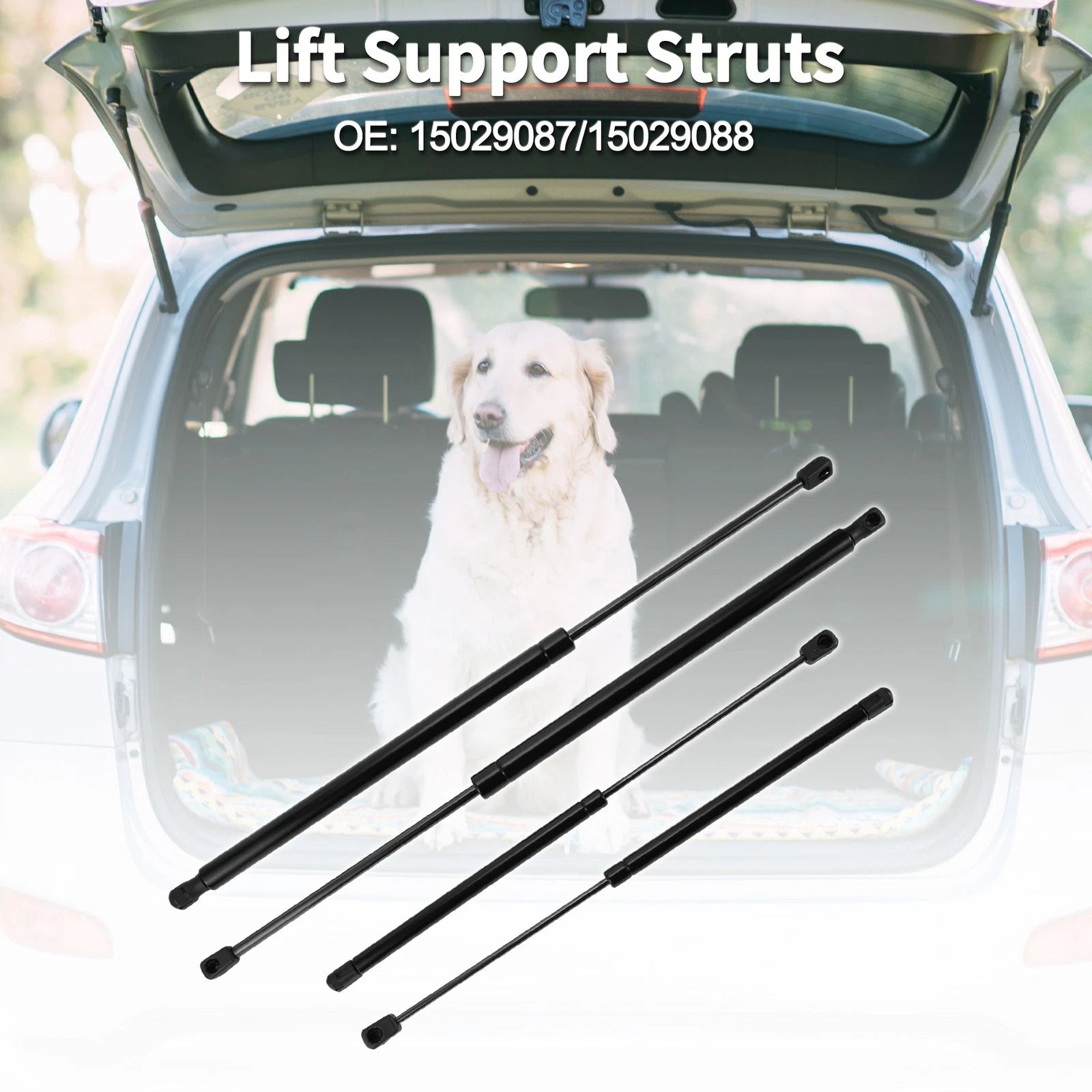 Rear Window Glass & Lift Supports Struts for Chevrolet Suburban 1500 (1999–2006)