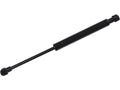 Trunk Strut for Jaguar XKR (2000–2006) NQ816WG