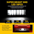 White LED License Plate Tag Lamp Light for Dodge Charger Challenger (2015–2022)
