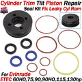 Trim Tilt Seal Kit for Evinrude E-TEC 75-130hp (2005–2019) 5008985