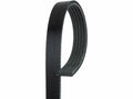 Power Steering Multi Rib Belt for Mazda Protege (1999–2003) C352JV
