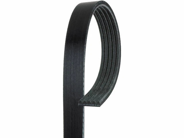 Power Steering Multi Rib Belt for Mazda Protege (1999–2003) C352JV