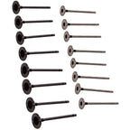 16X Engine Intake Exhaust Valves for Renault Megane MK II (2003–2010) 7701473355
