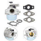 Carburetor for Engine Maintenance (799871)