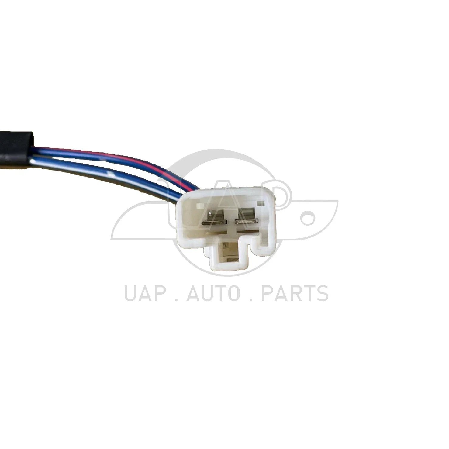 Front Right Window Regulator W/Motor 2-Pin for Holden Commodore (1997–2006)
