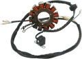Stator for Rick's Motorsport Electric (21-562)
