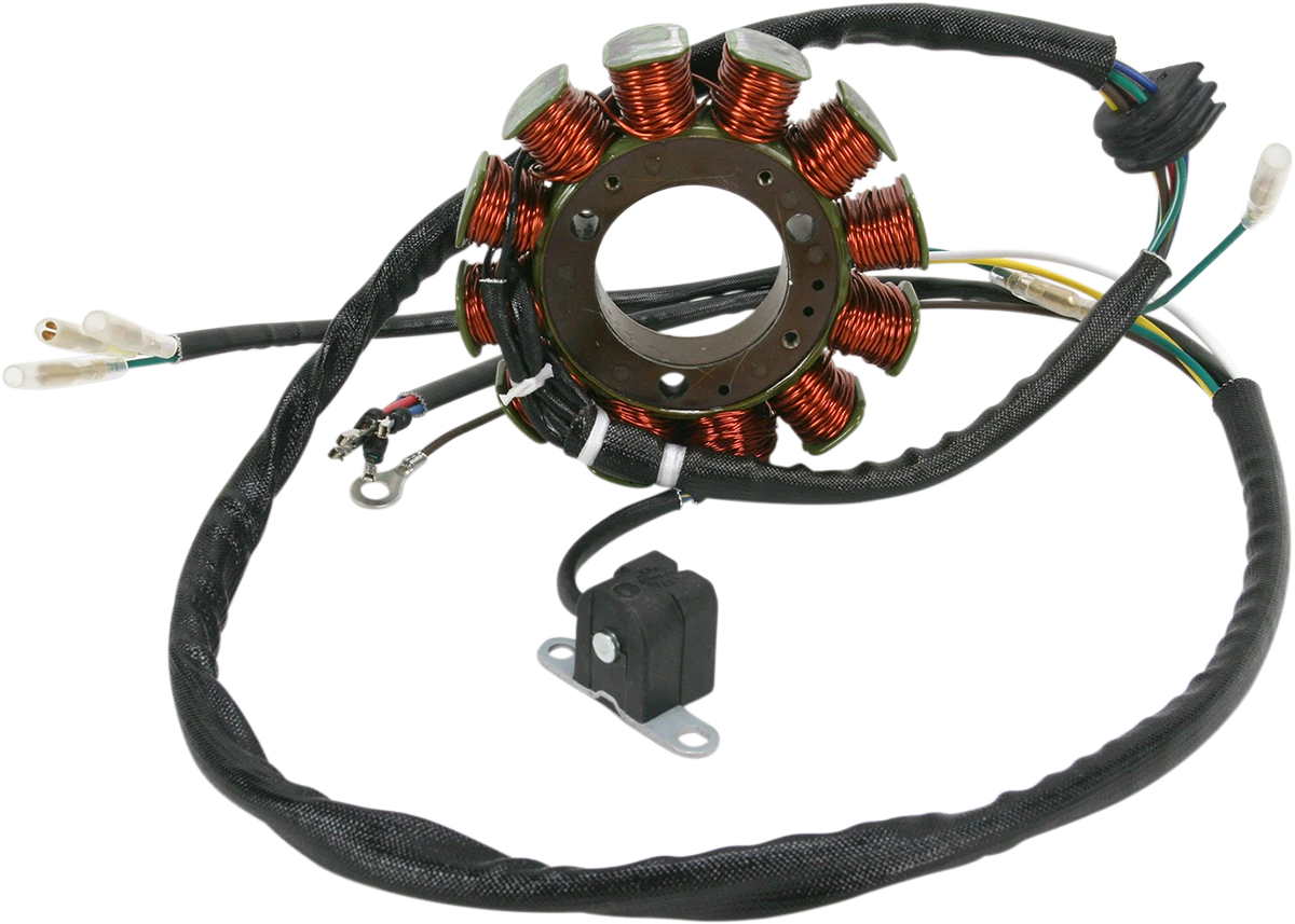 Stator for Rick's Motorsport Electric (21-562)